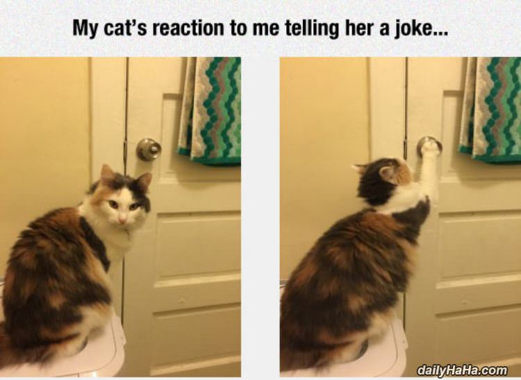 nice joke human funny picture