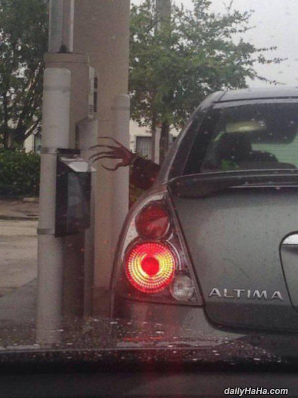 nice nails funny picture