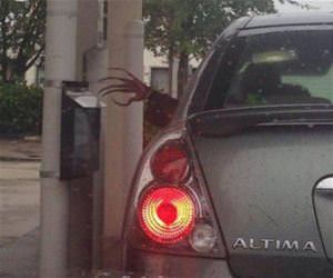 nice nails funny picture