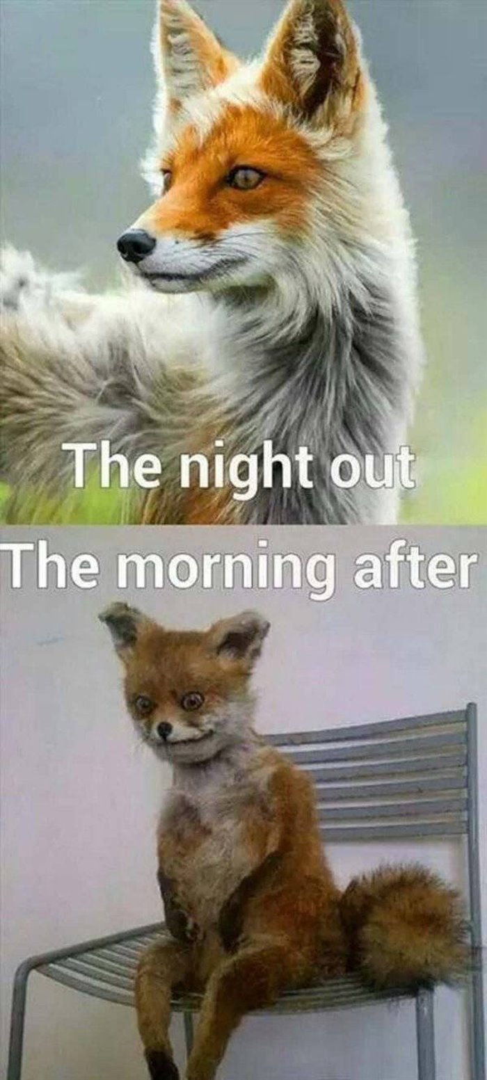 night out