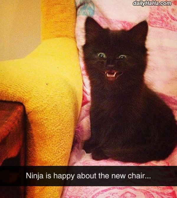 ninja is happy funny picture