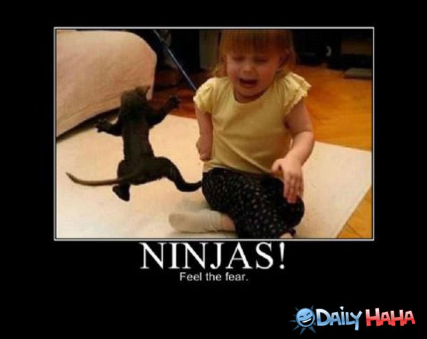 Ninjas funny picture