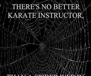 no better instructor
