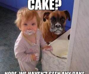 No Cake Here Funny Picture