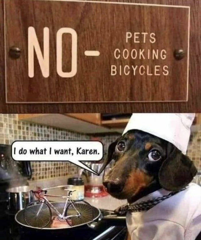no cooking