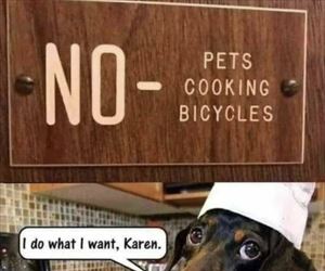 no cooking