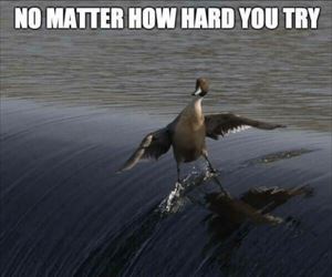 no matter how hard ... 2