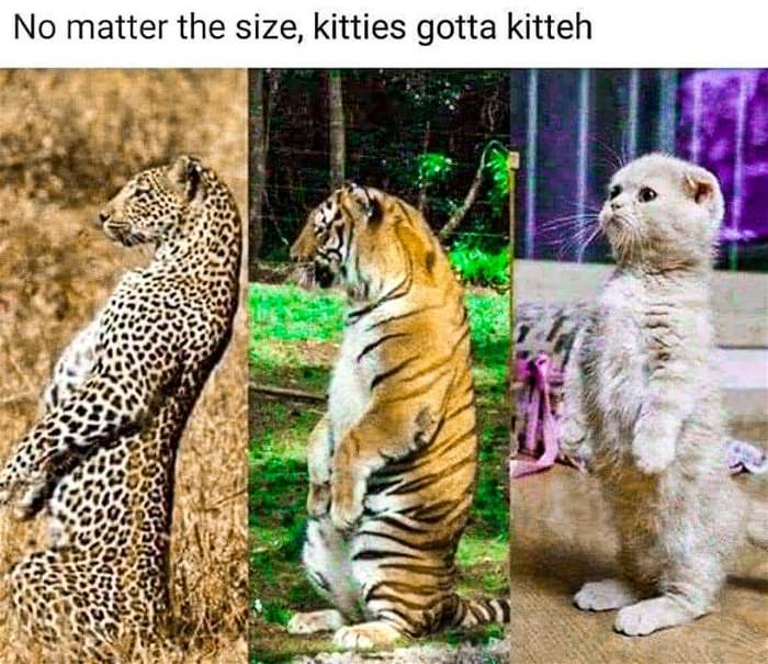 no matter what ... 2