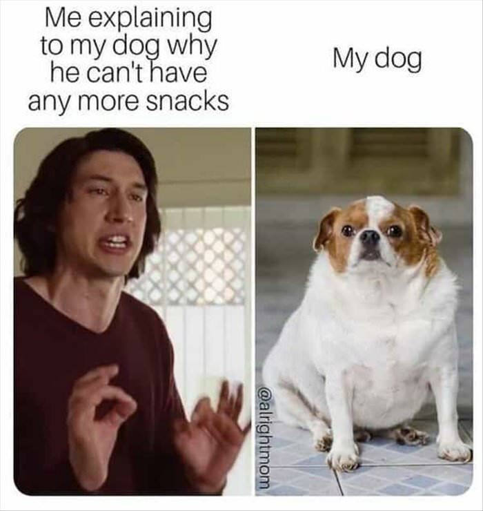 no more snacks ... 2