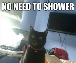 no need to shower ... 2