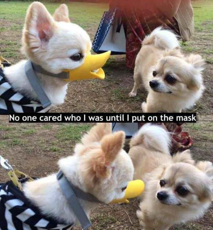 no one cared who i was