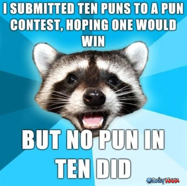 No Puns funny picture