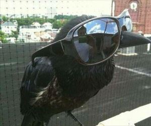 no sun for me thanks