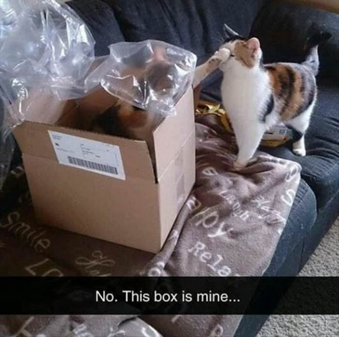 no this box is mine