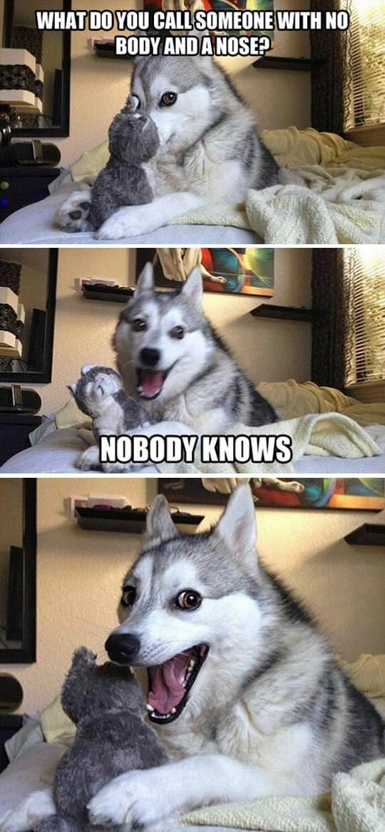 no body and no nose funny picture