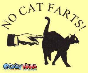 No Cat Farts