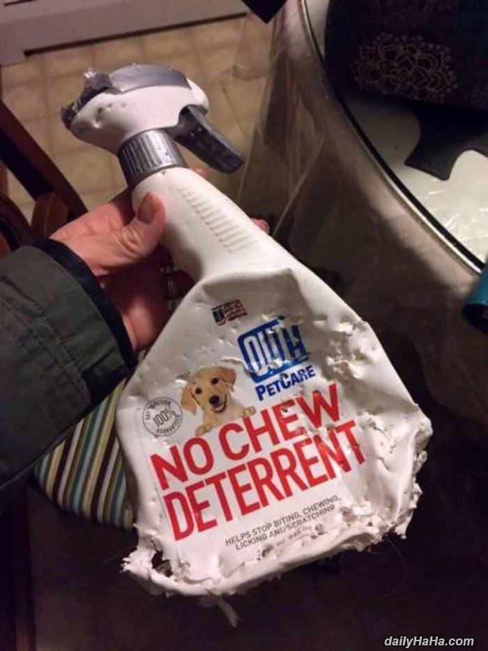 no chew deterrent funny picture