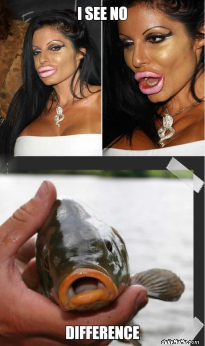 no difference funny picture