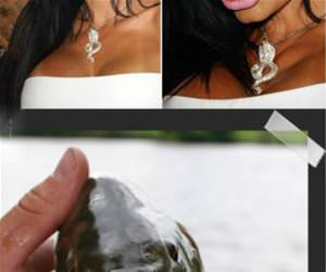 no difference funny picture