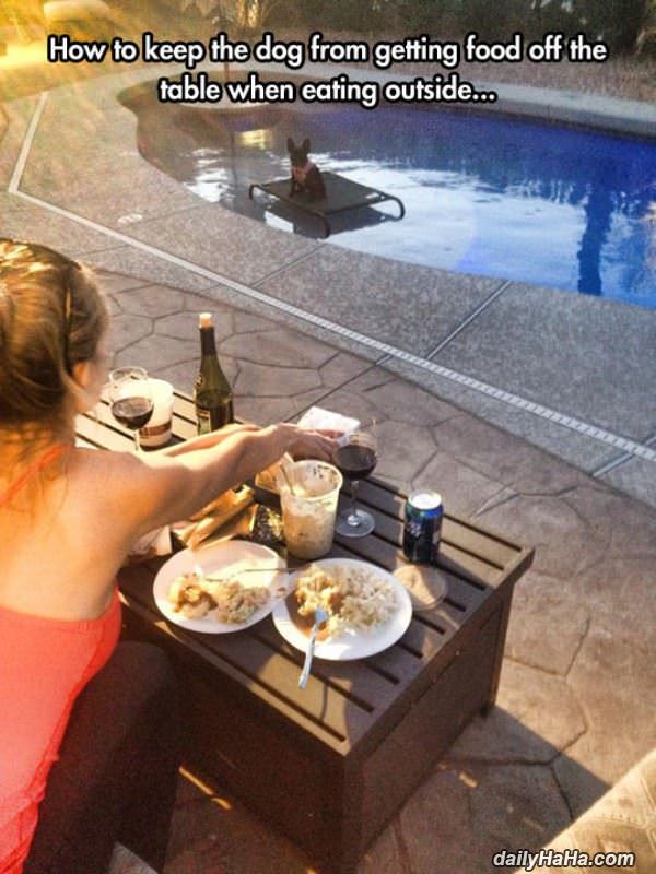 no food for you funny picture