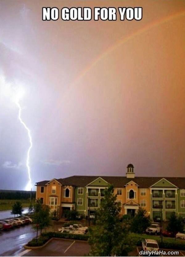 no gold for you funny picture