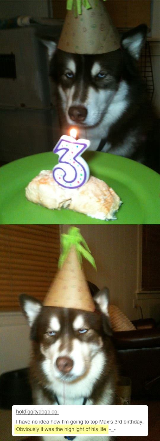 no idea how to top this funny picture