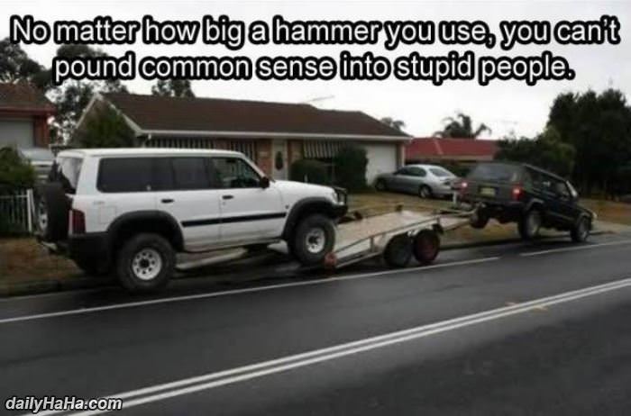 no matter how much you try funny picture