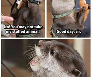 no no you may not funny picture