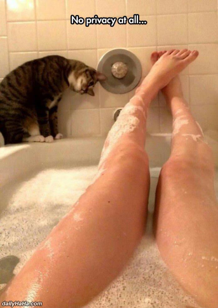 no privacy at all funny picture