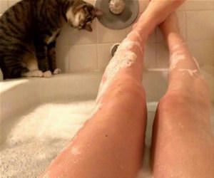 no privacy at all funny picture