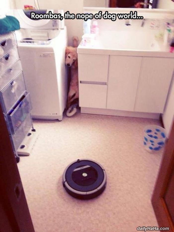 no roombas for me funny picture