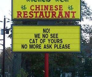 Chinese Food Cats Sign