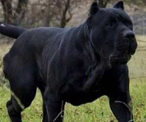 no you sit funny picture