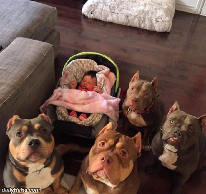 nobody is messing with this kid funny picture