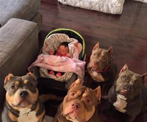 nobody is messing with this kid funny picture