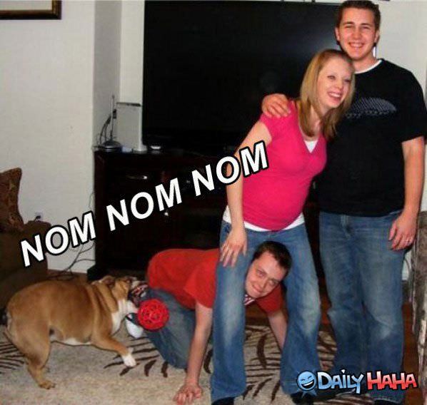 Nom Nom Ouch funny picture