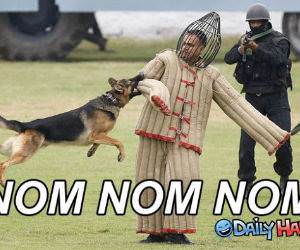 Nom Nom Nom funny picture