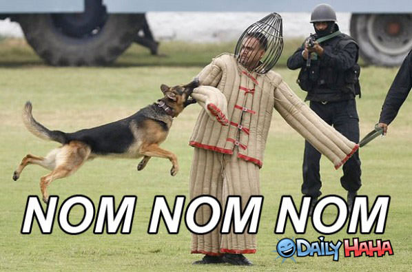 Nom Nom Nom funny picture