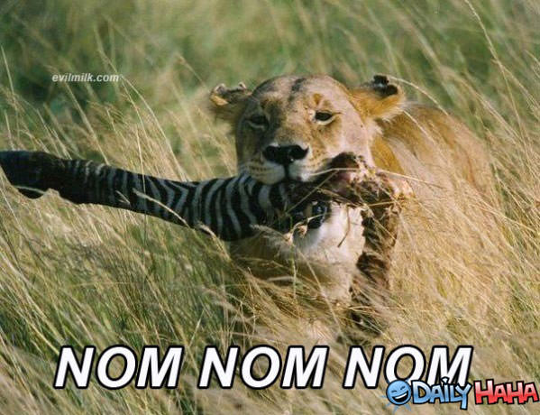 Om Nom Nom Nom funny picture