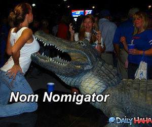 The Nomigator funny picture