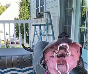 nommmm mnom nom nommm