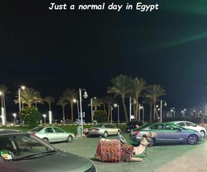 normal day in egypt