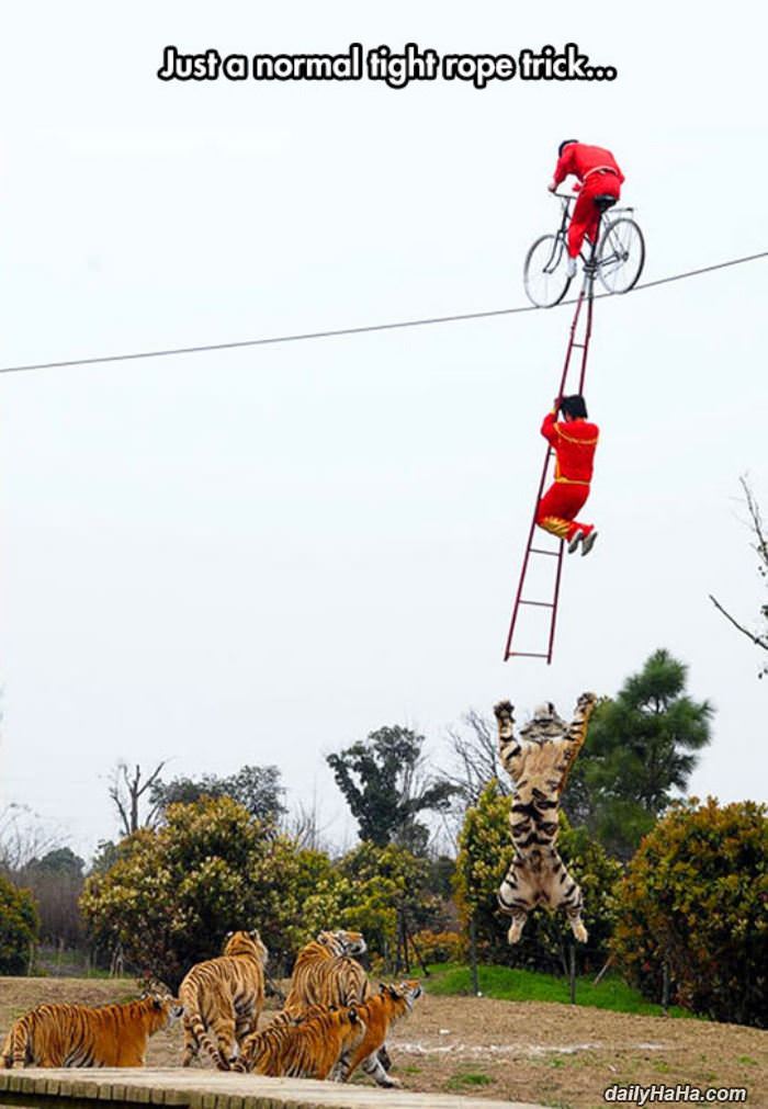 normal tight rope trick funny picture