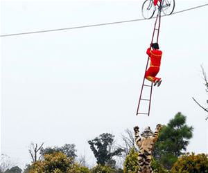 normal tight rope trick funny picture