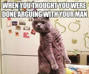 not done arguing yet