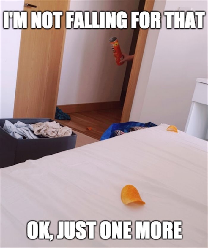 not falling for that ... 2