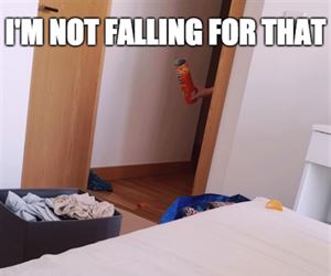 not falling for that ... 2