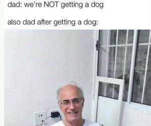 not getting a dog