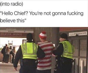 not going to believe this