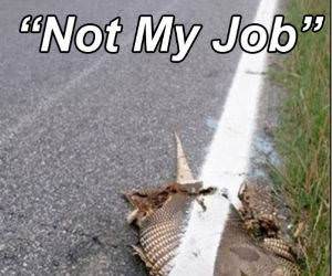 Not My Job funny picture